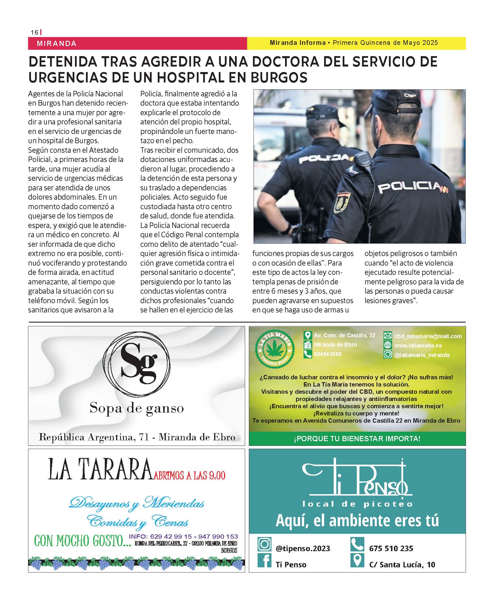 Imagen 16