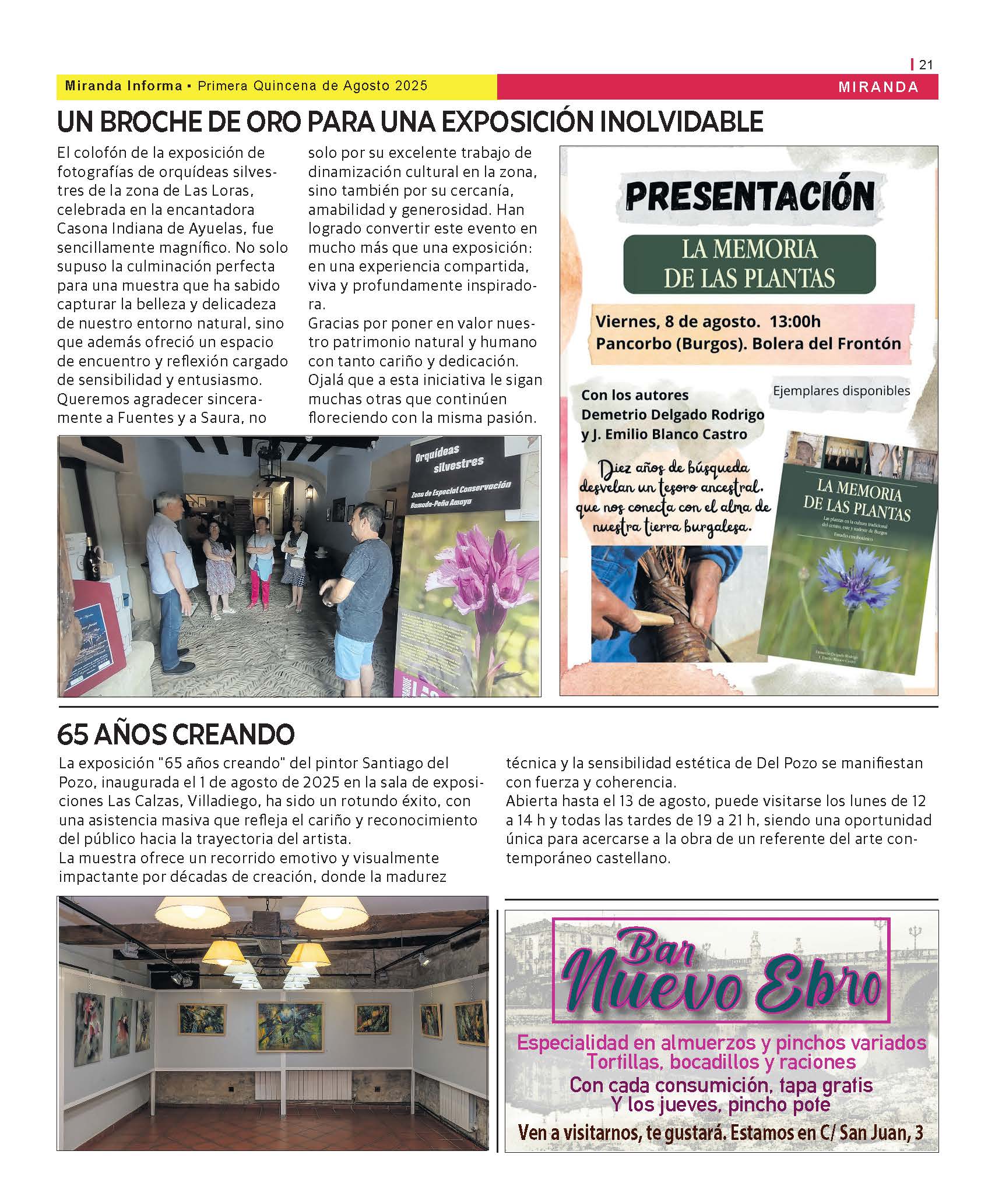 Imagen 21