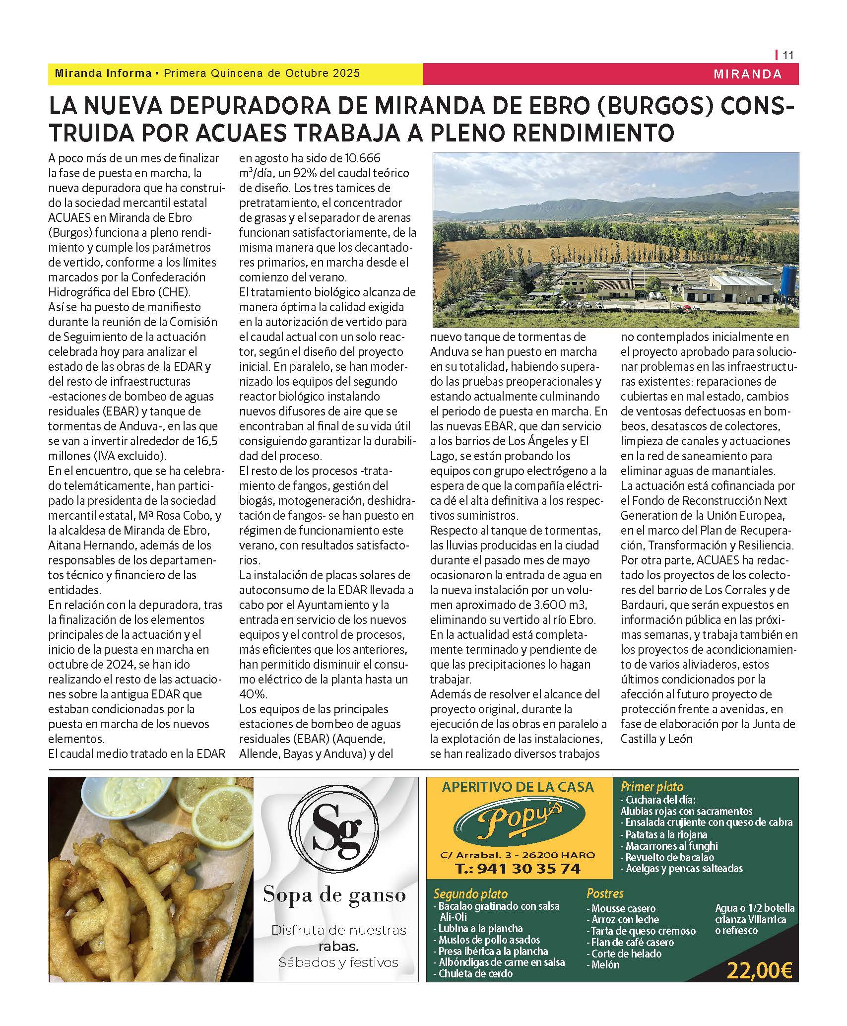 Imagen 11