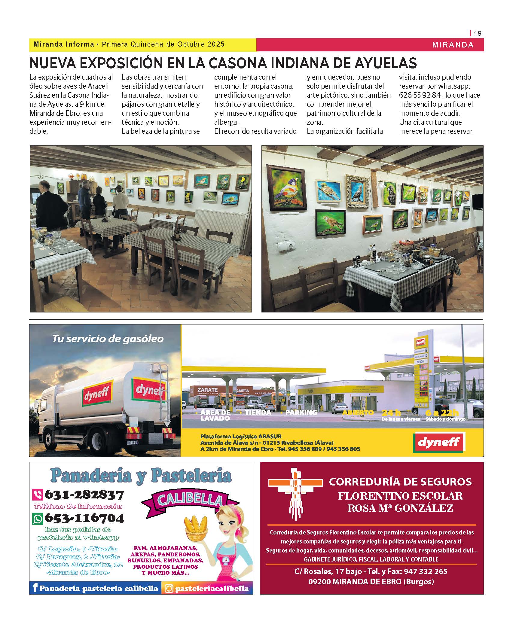 Imagen 19